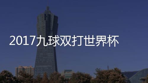 杯录频像 兰v典四英格一比分之九球s瑞双打世界赛视